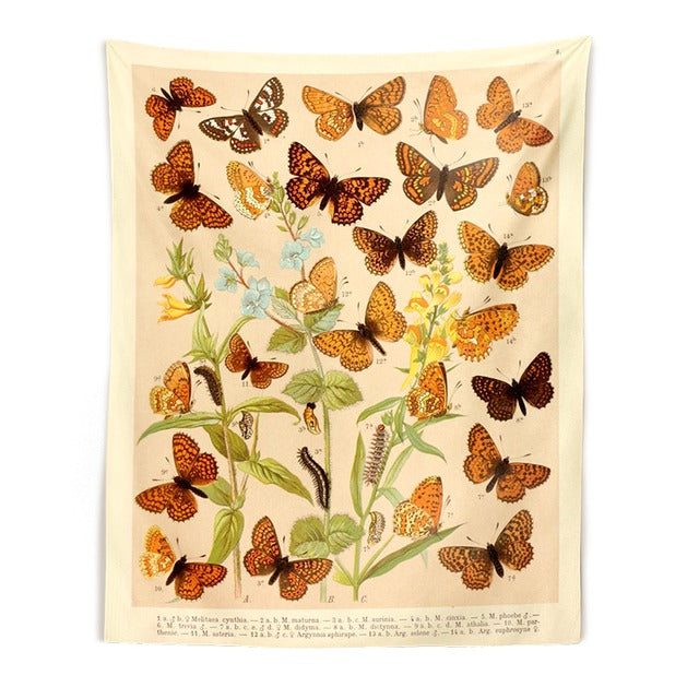 Motyli Gatunki Tapiseria Botaniczna