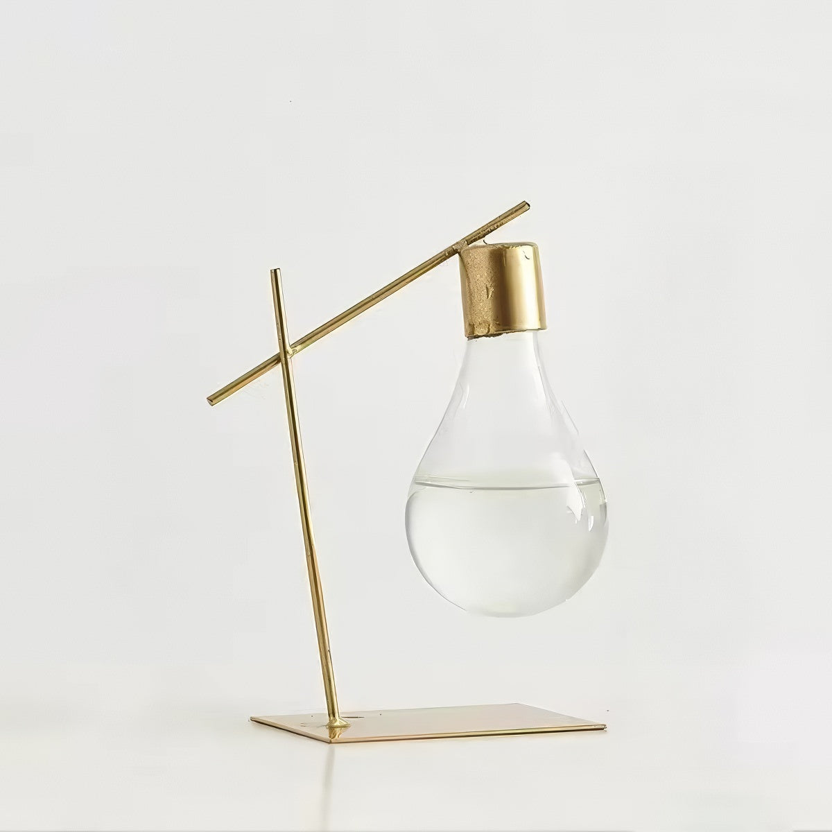 Minimalistyczna Hoka na Tworzywo do Hydroponicznego Wazonu