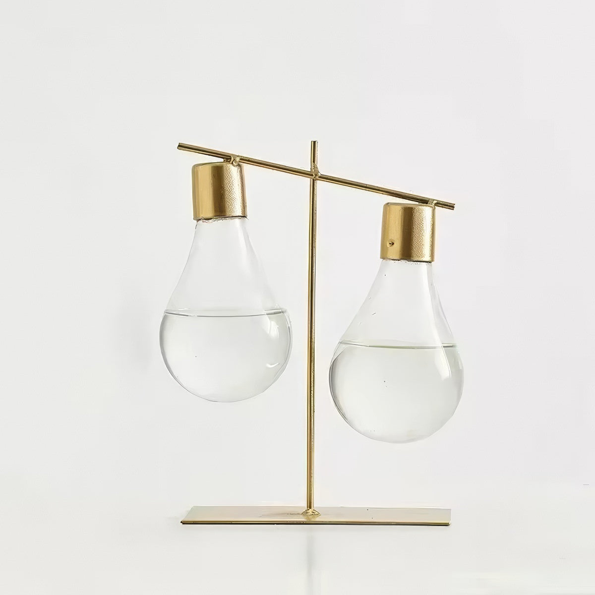 Minimalistyczna Hoka na Tworzywo do Hydroponicznego Wazonu