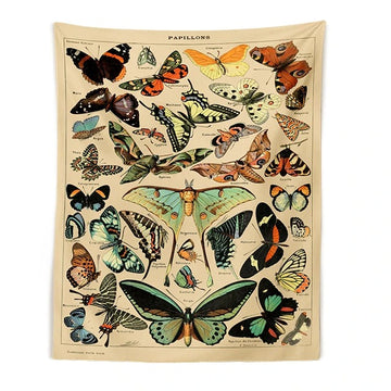 Drzeworyt Botaniczny Papillon
