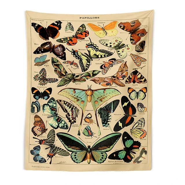 Drzeworyt Botaniczny Papillon